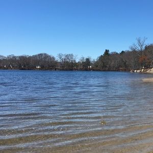 Meet your Posher, Fernanda